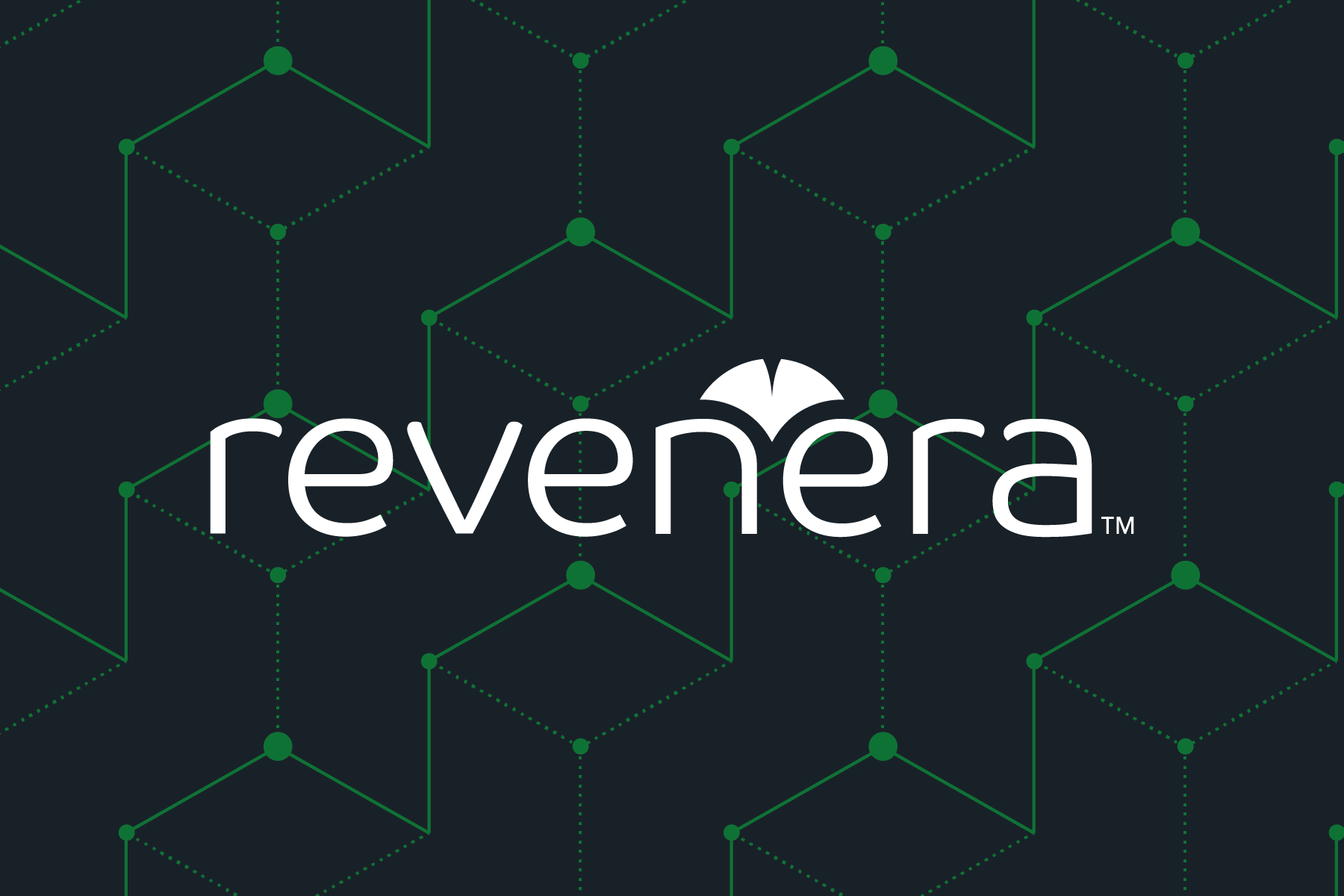 What is Software Piracy? | Revenera